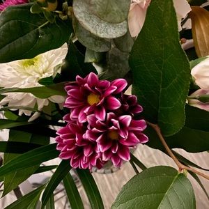 Meet your Posher, Gail